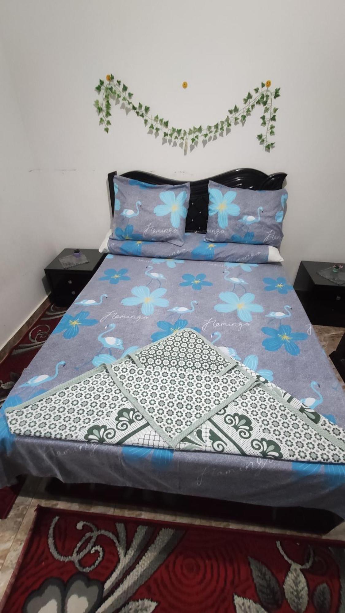 The Flowers Apartment Alexandria Ngoại thất bức ảnh